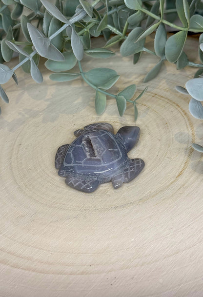 Tortue en Agate