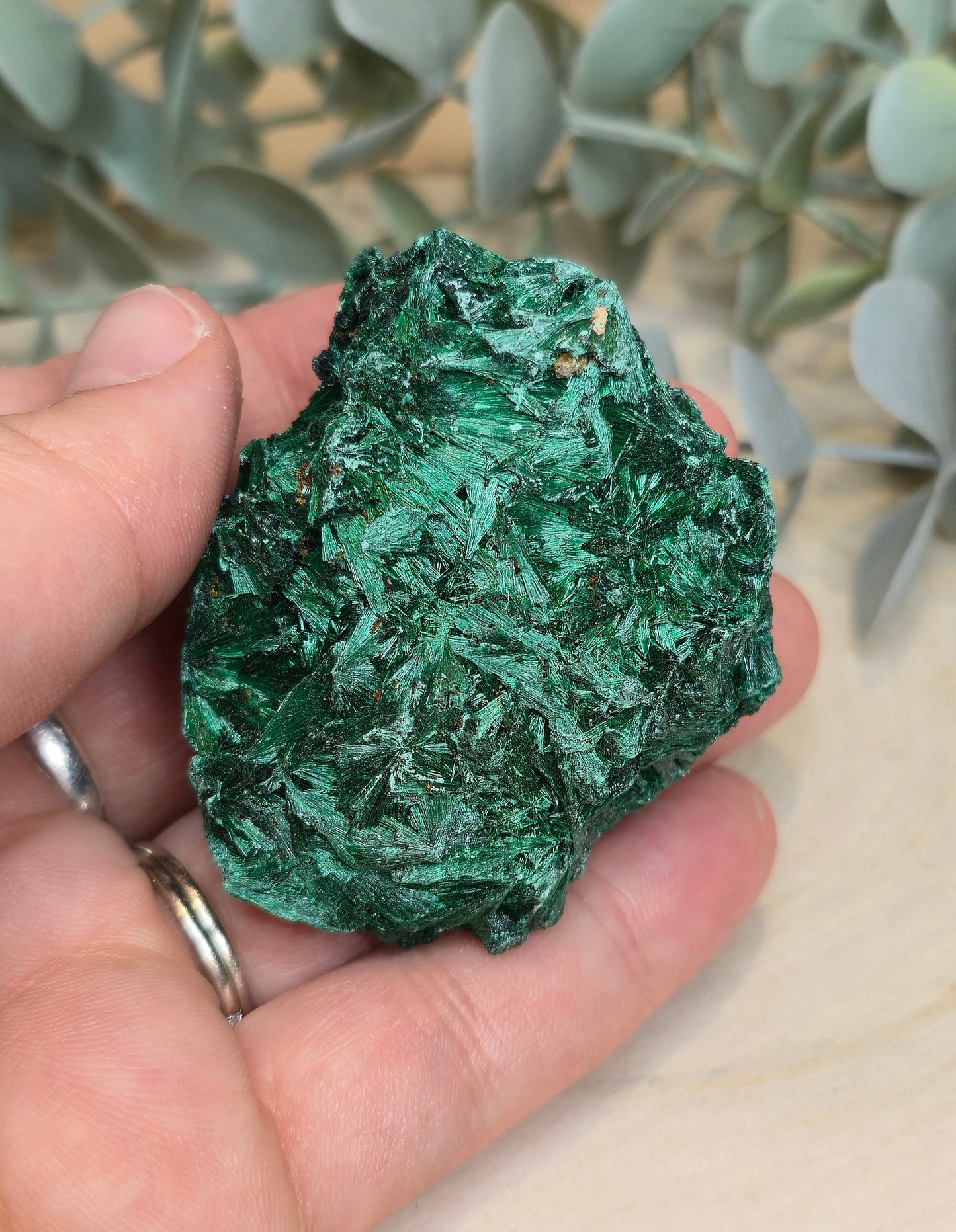 Malachite velour brute de l'Afrique