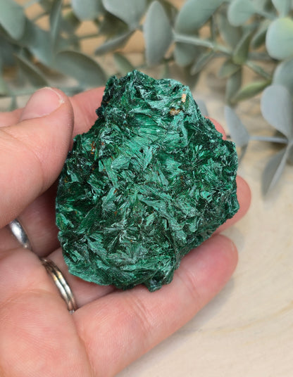 Malachite velour brute de l'Afrique