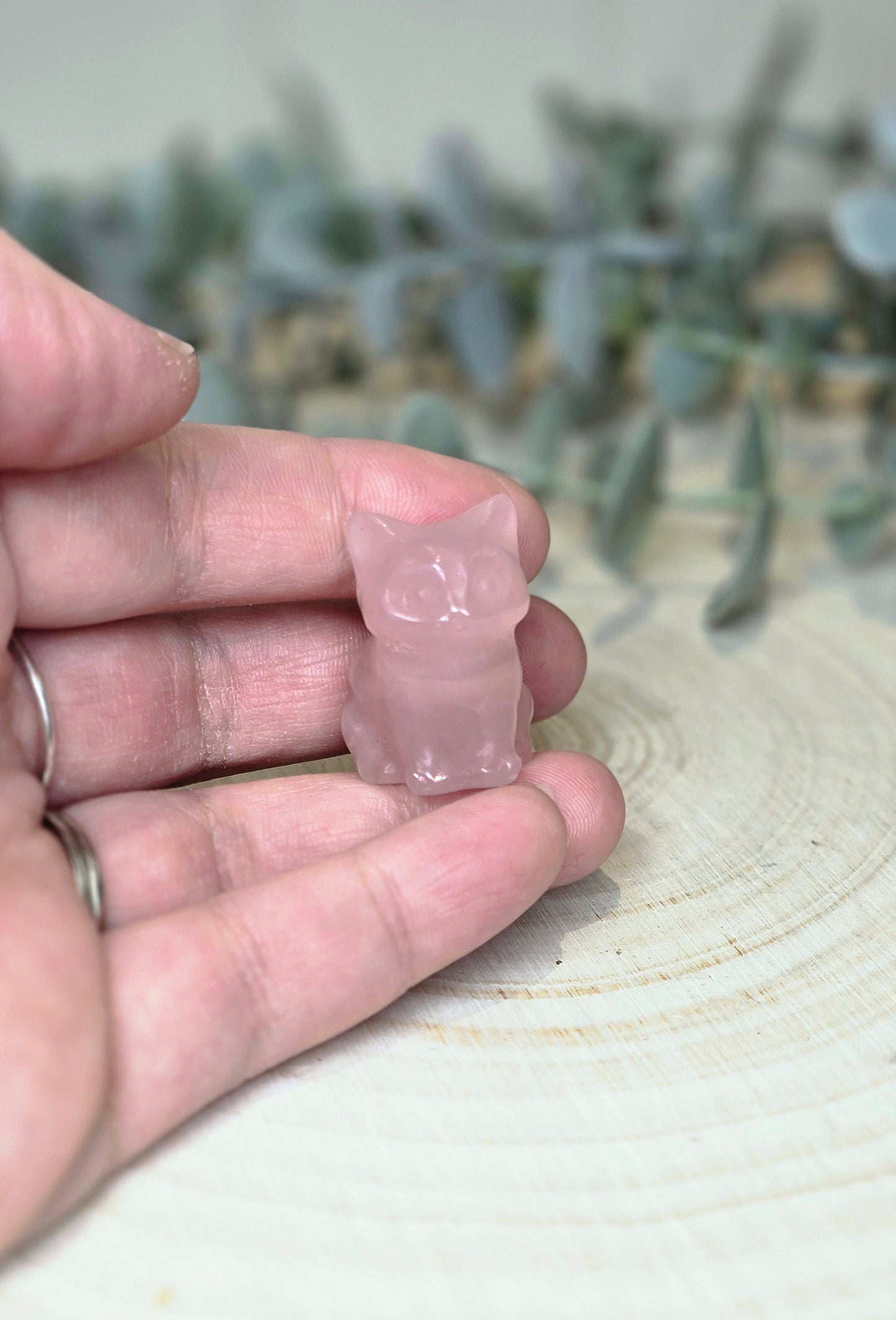 Chat en Quartz rose
