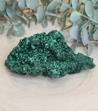 Malachite velour brute de l'Afrique