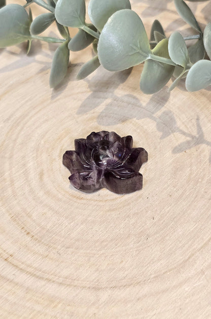 Lotus en Améthyste