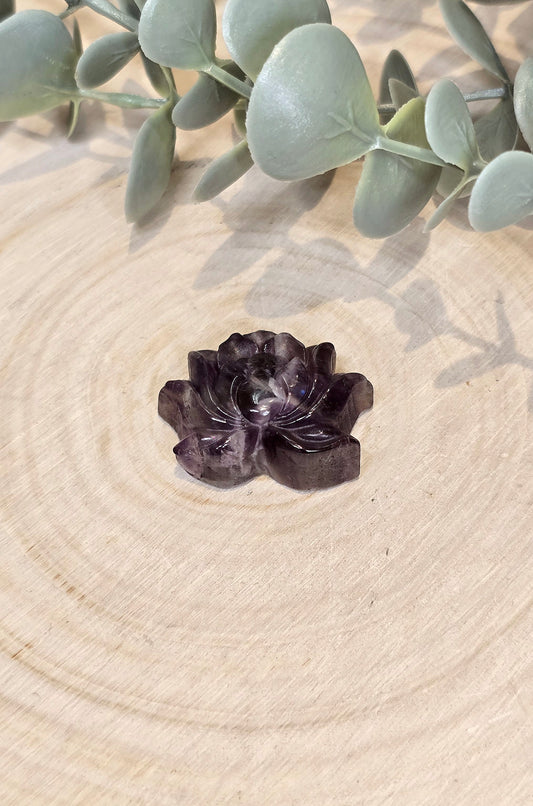 Lotus en Améthyste