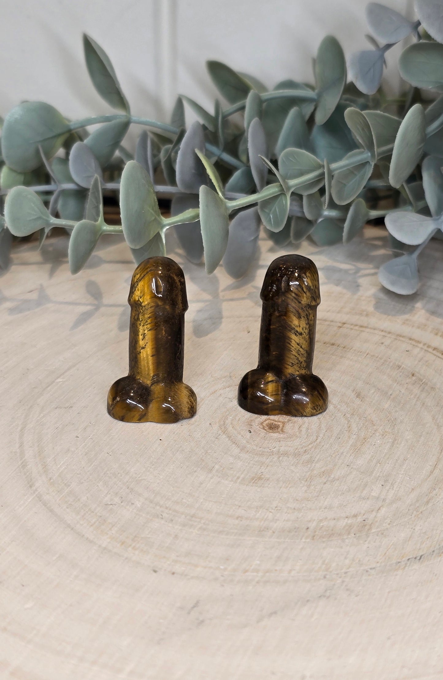 Pénis en Oeil de tigre