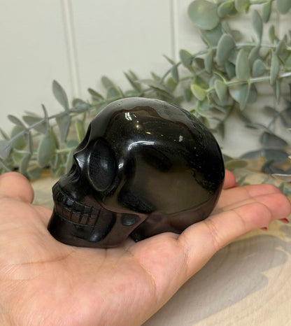 Crâne Obsidienne