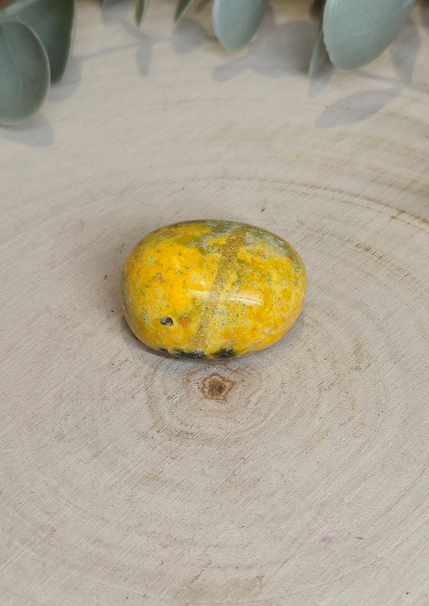 Jaspe Bumblebee barattée