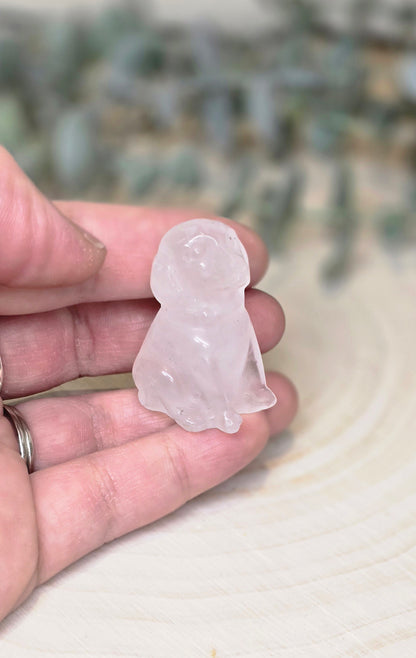 Chien en Quartz clair