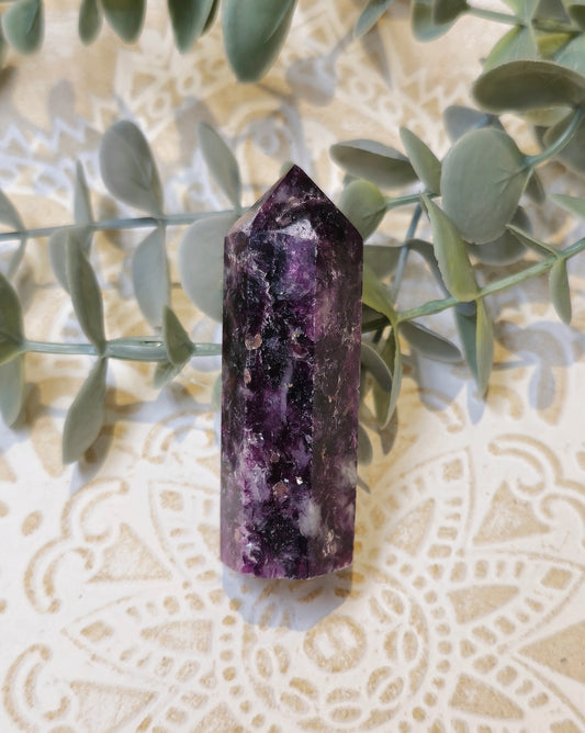 Pointe Mica mauve