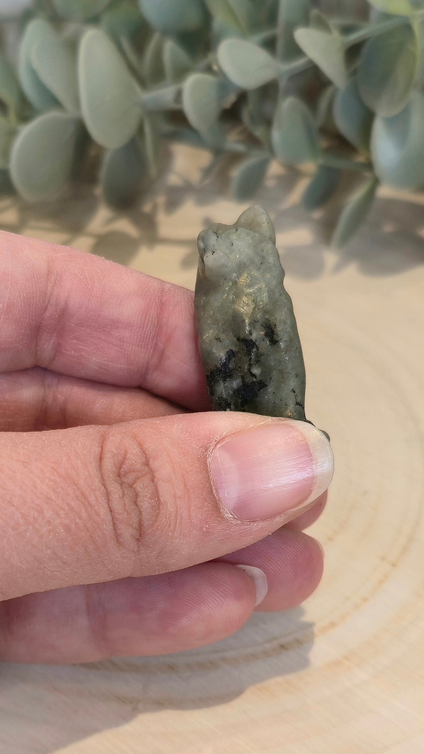 Chien en Labradorite