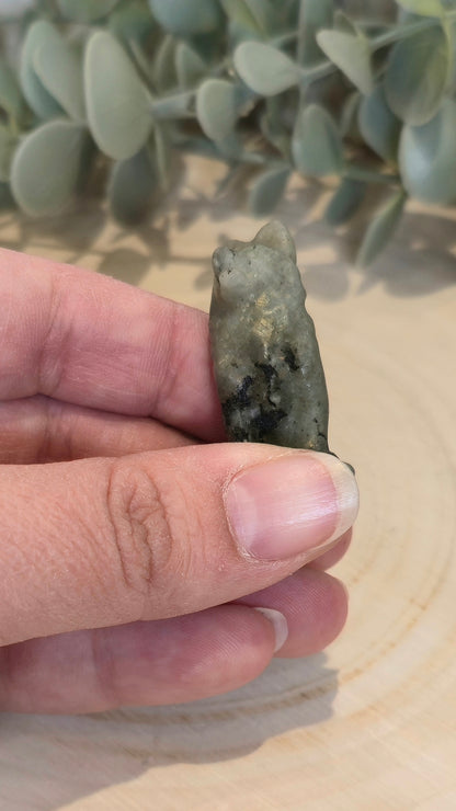 Chien en Labradorite