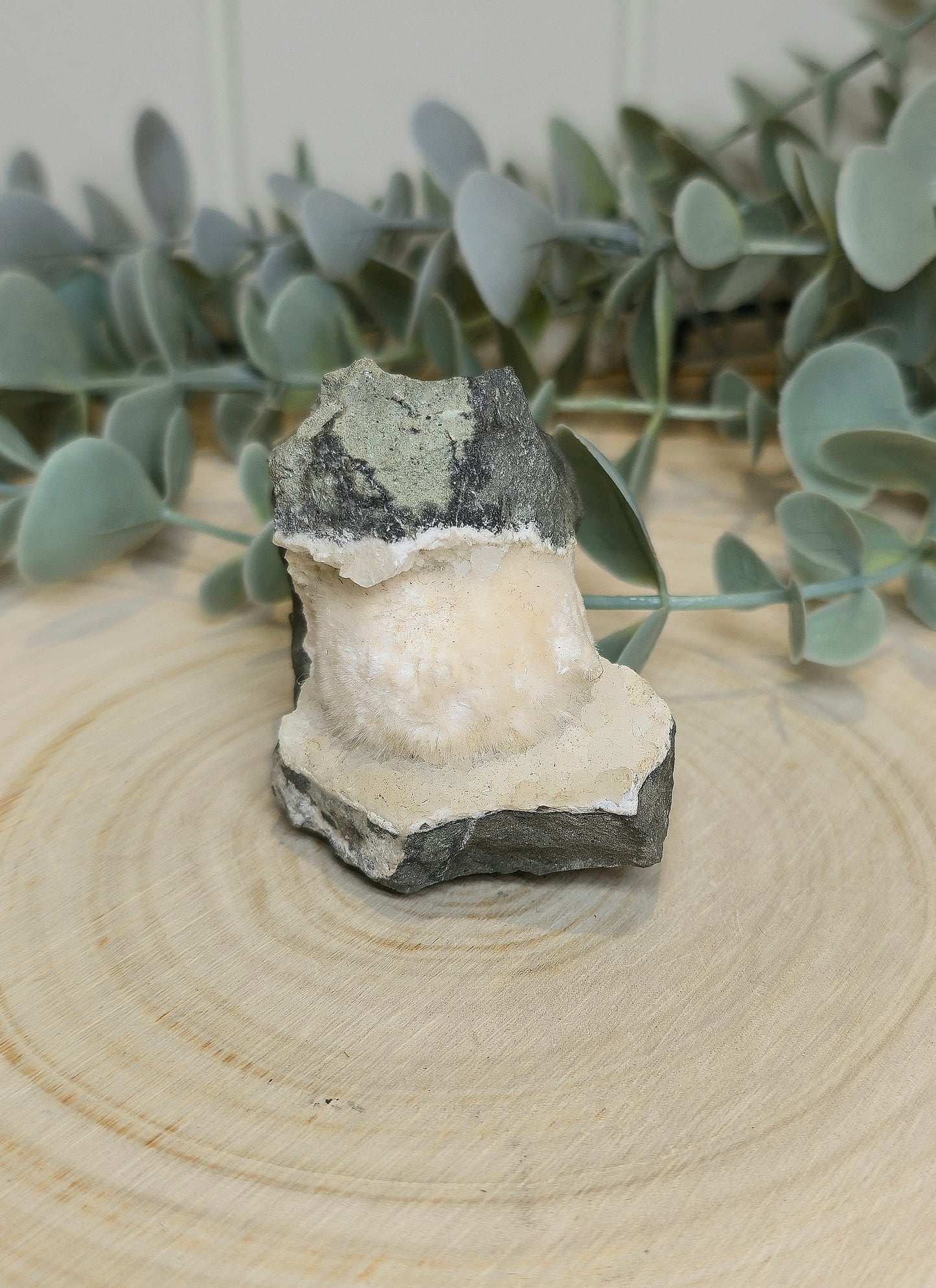 Okenite brute de l’Inde