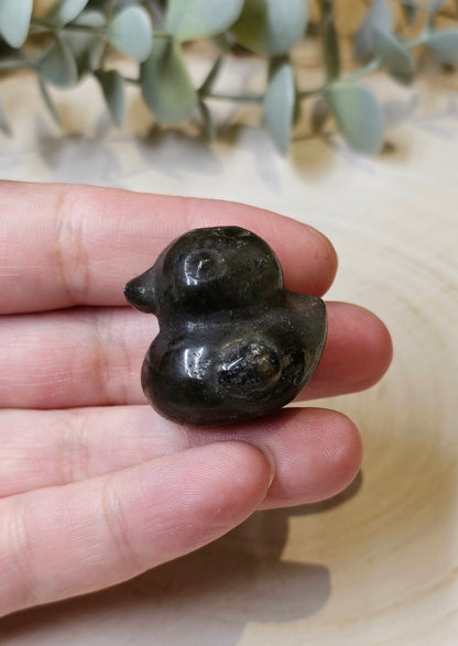 Canard Labradorite