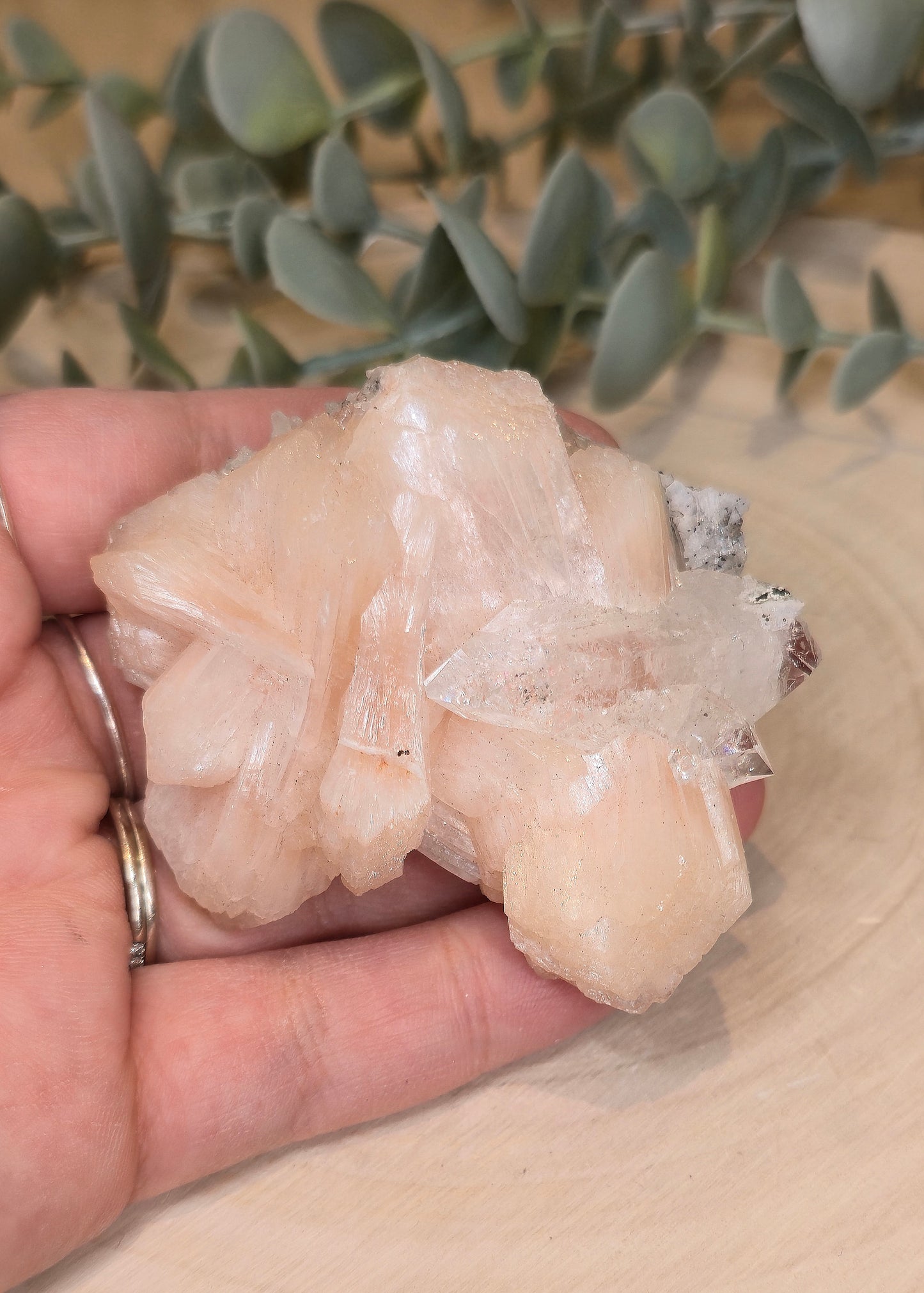 Apophyllite/Stilbite brute d'Inde