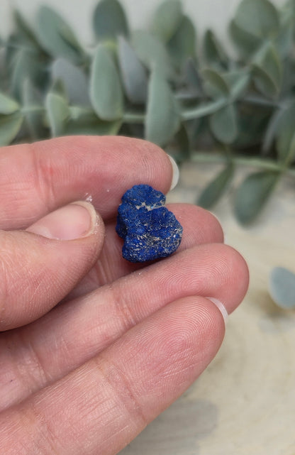 Azurite brute