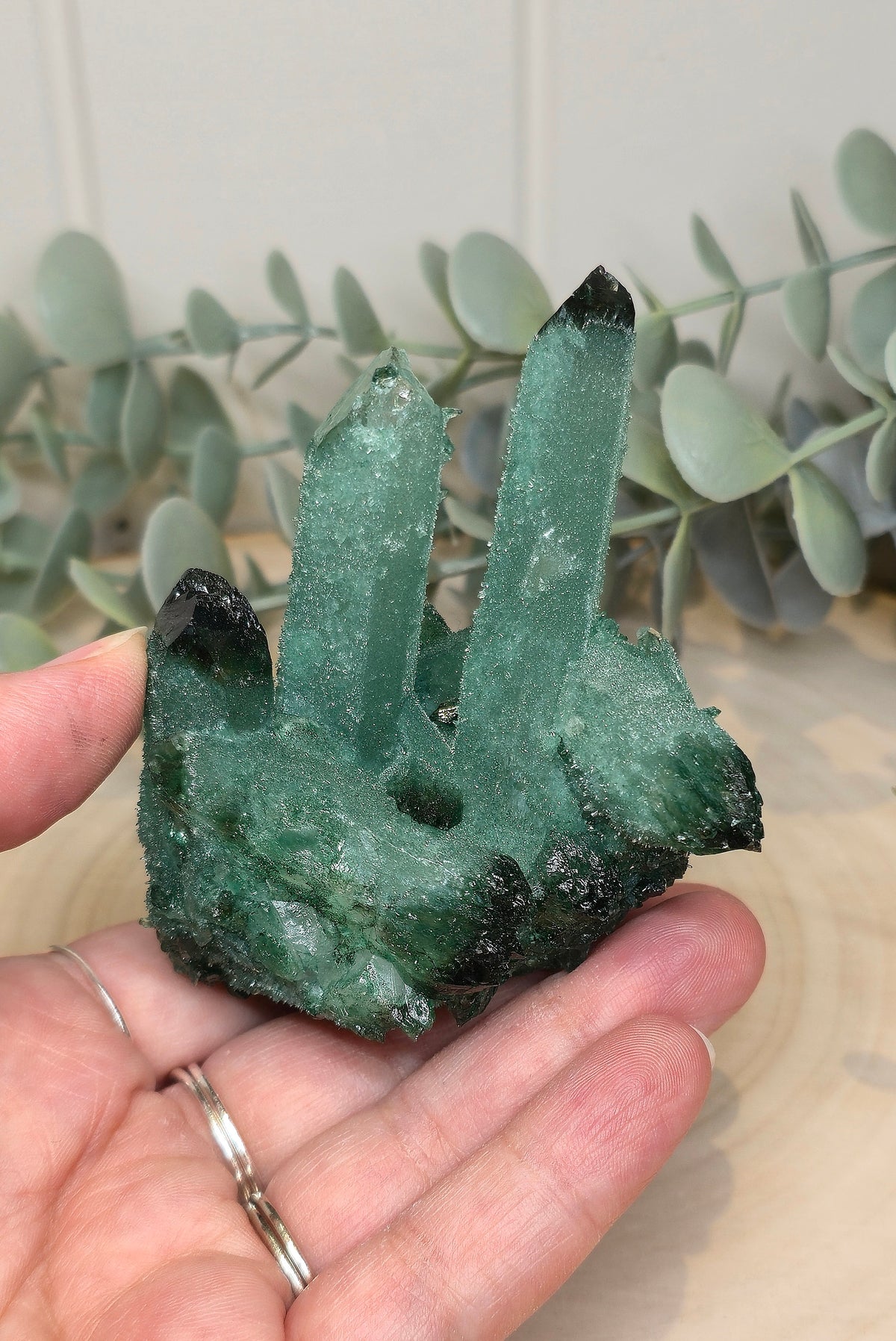 Quartz Chromium vert brute