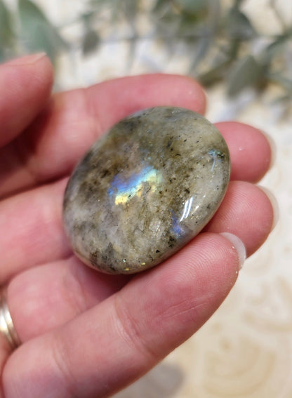 Pierre de paume mince Labradorite
