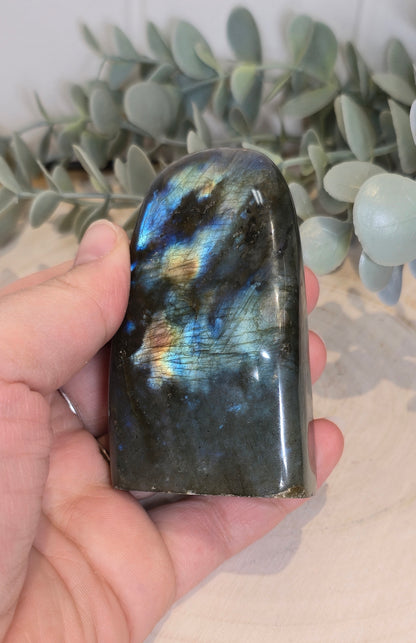 Freeform Labradorite