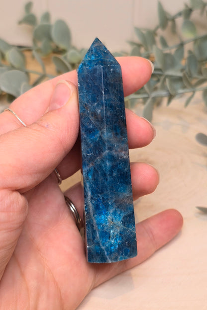 Pointe en Apatite