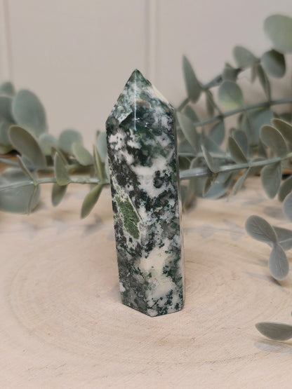 Pointe en Agate arbre