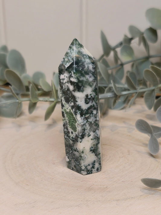 Pointe en Agate arbre