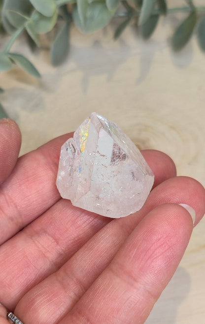 Pointe en Apophyllite
