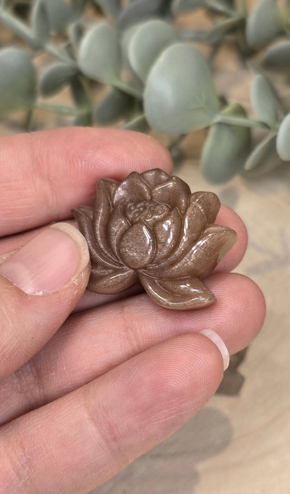 Lotus en Pierre de lune pêche