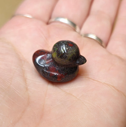 Canard Jaspe sang de dragon