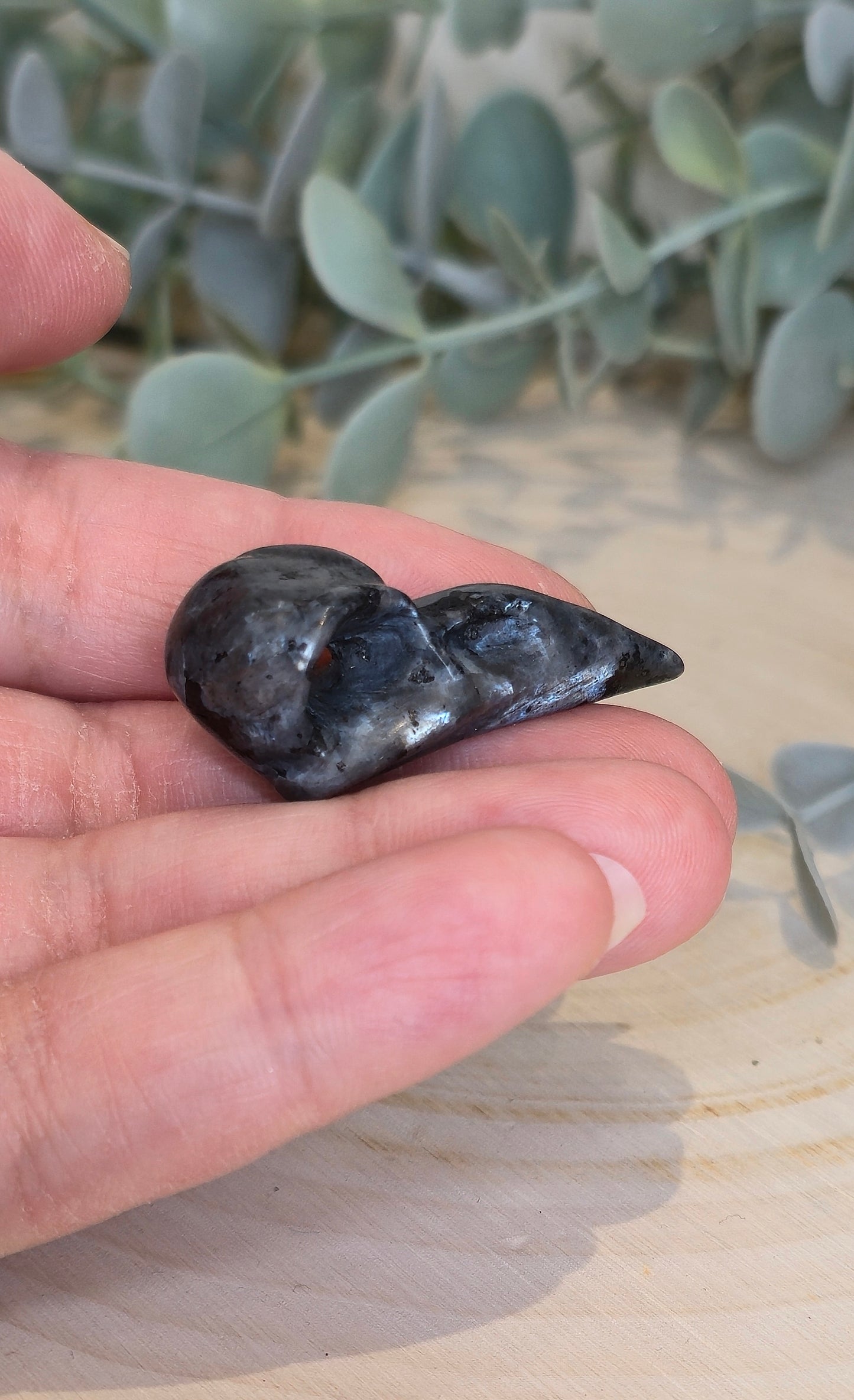 Crâne de corbeau en Larvikite