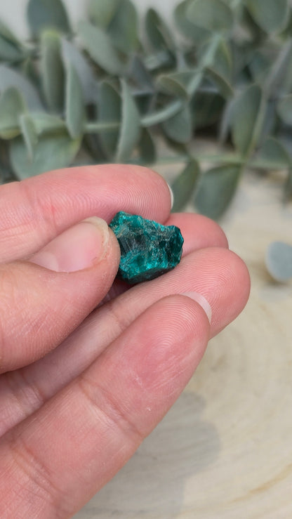 Dioptase brute