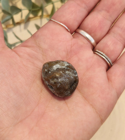 Quantum Quattro barattée