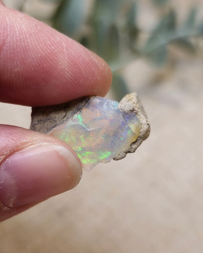 Opale d’Éthiopie brute