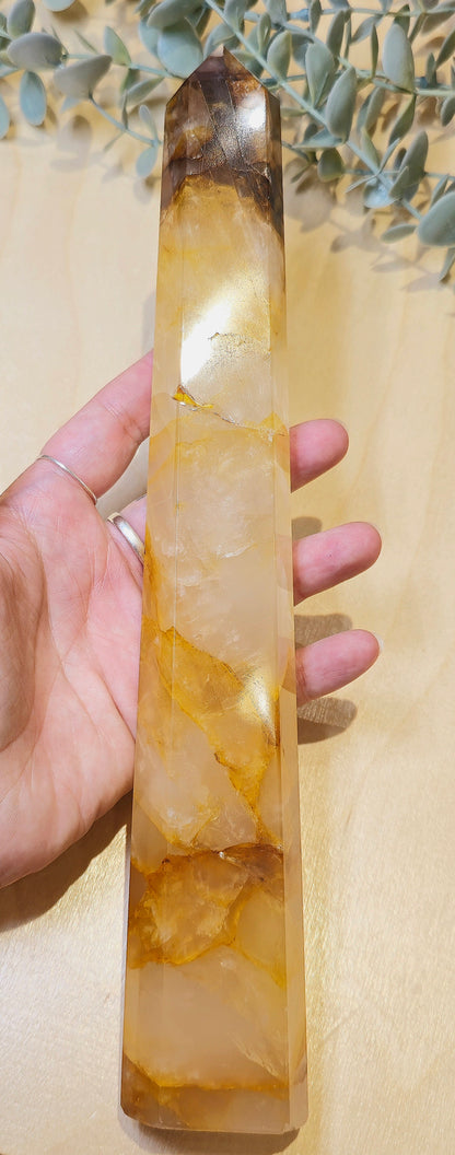 Pointe en Golden Healer