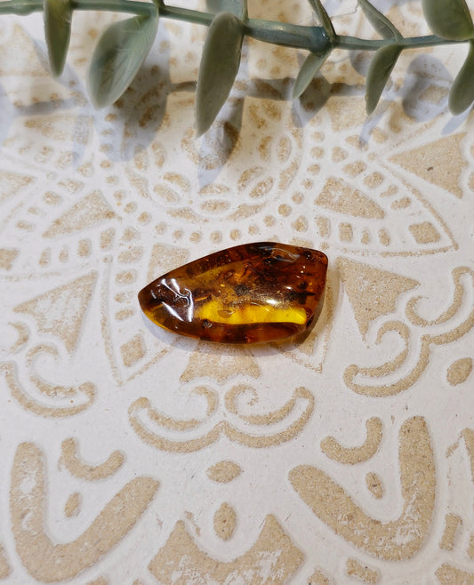 Ambre Baltique barattée