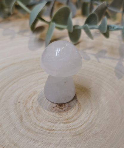 Champignon Quartz clair