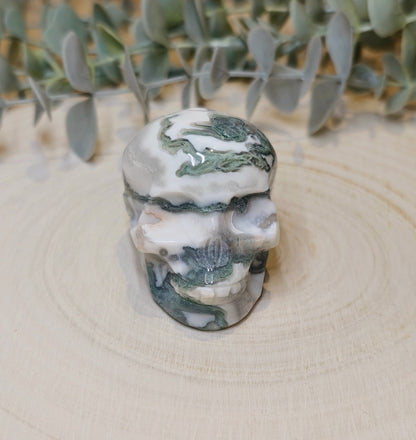 Crâne Agate mousse