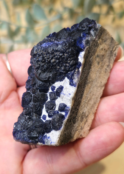 Fluorite blueberry (Bleu) brute