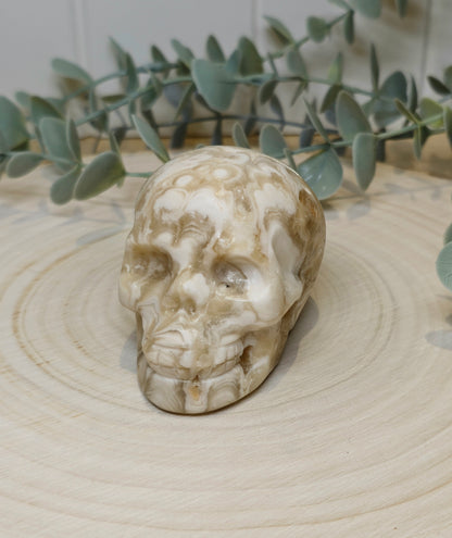 Crâne Agate Fleur ambrée