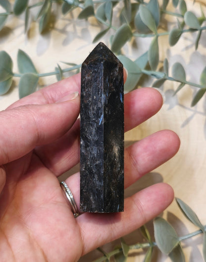 Pointe en Astrophyllite