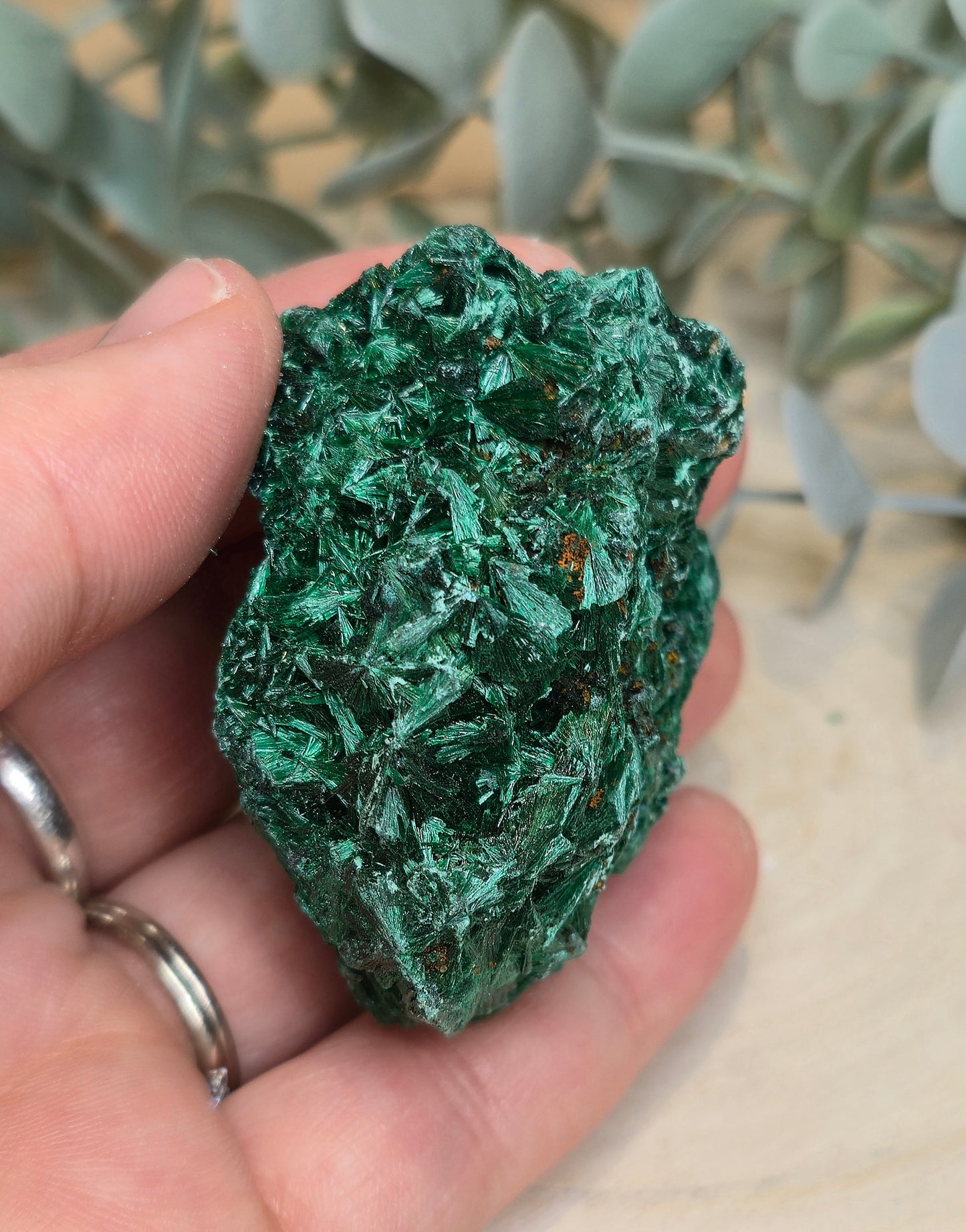 Malachite velour brute de l'Afrique