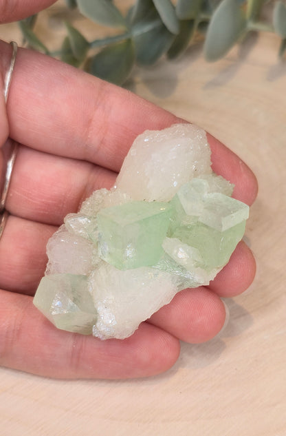 Apophyllite verte brute d'Inde