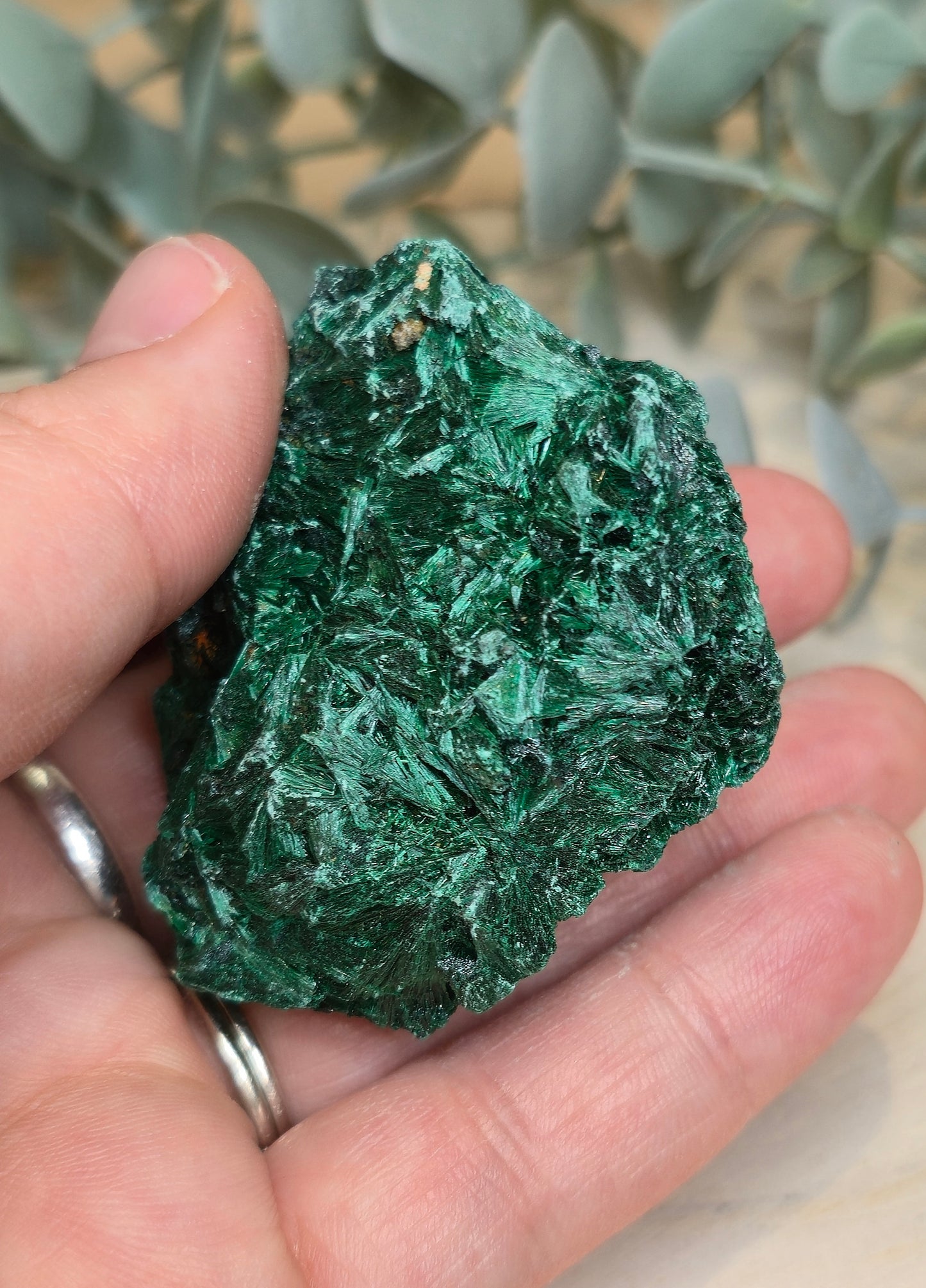 Malachite velour brute de l'Afrique