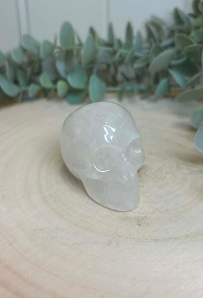 Crâne Quartz clair