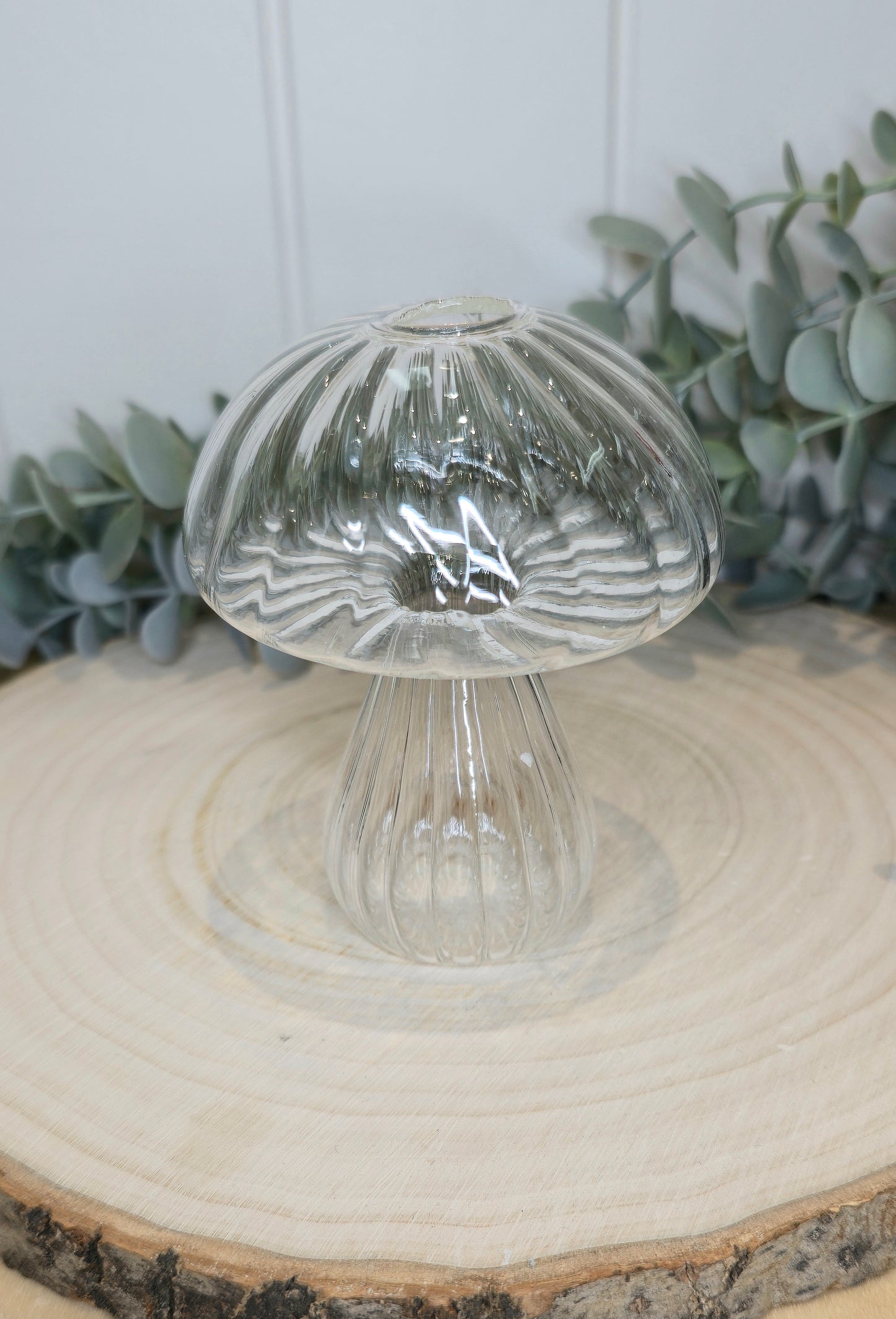 Vase champignon transparent rond