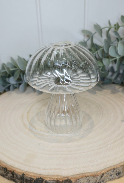 Vase champignon transparent rond