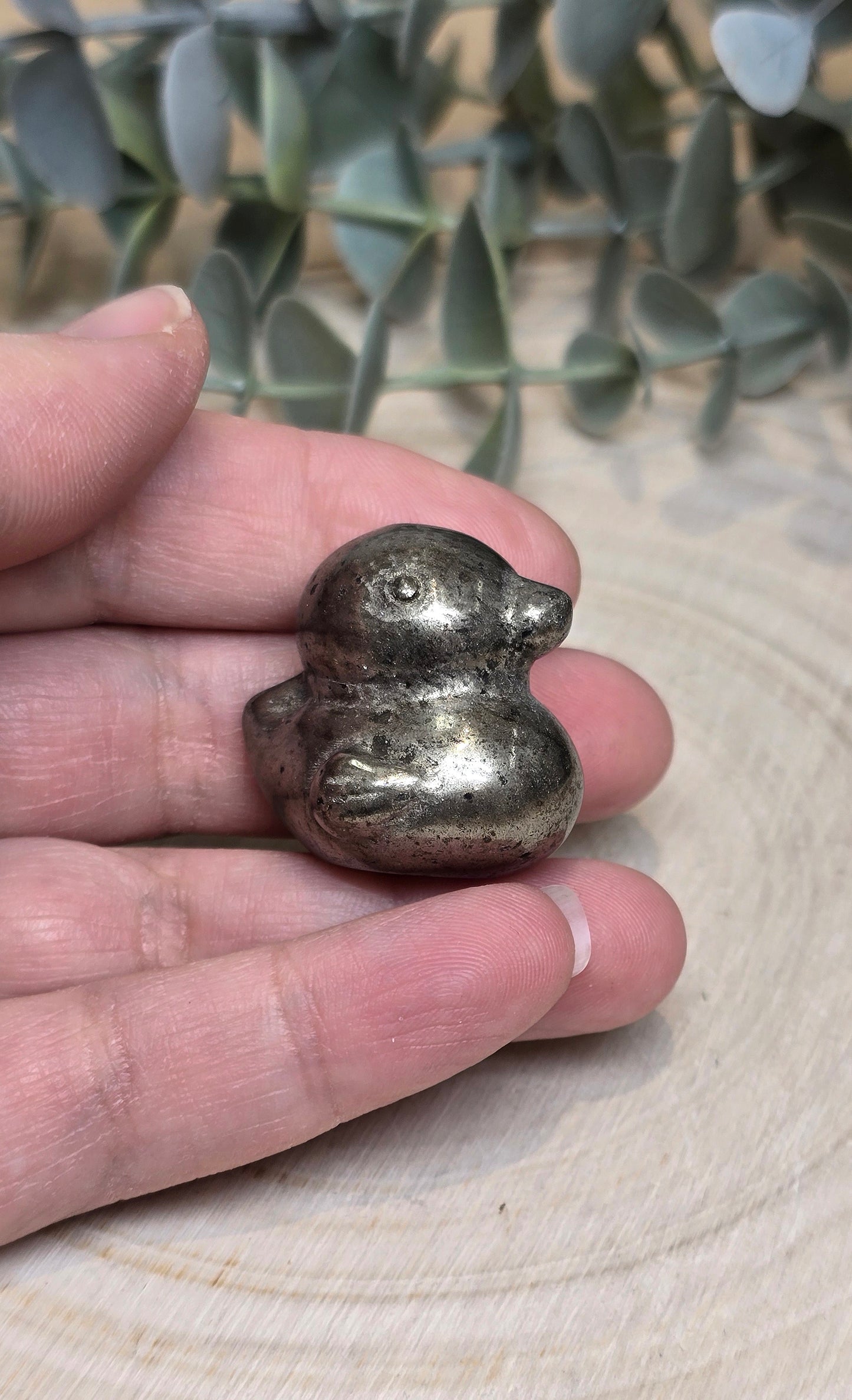 Canard Pyrite