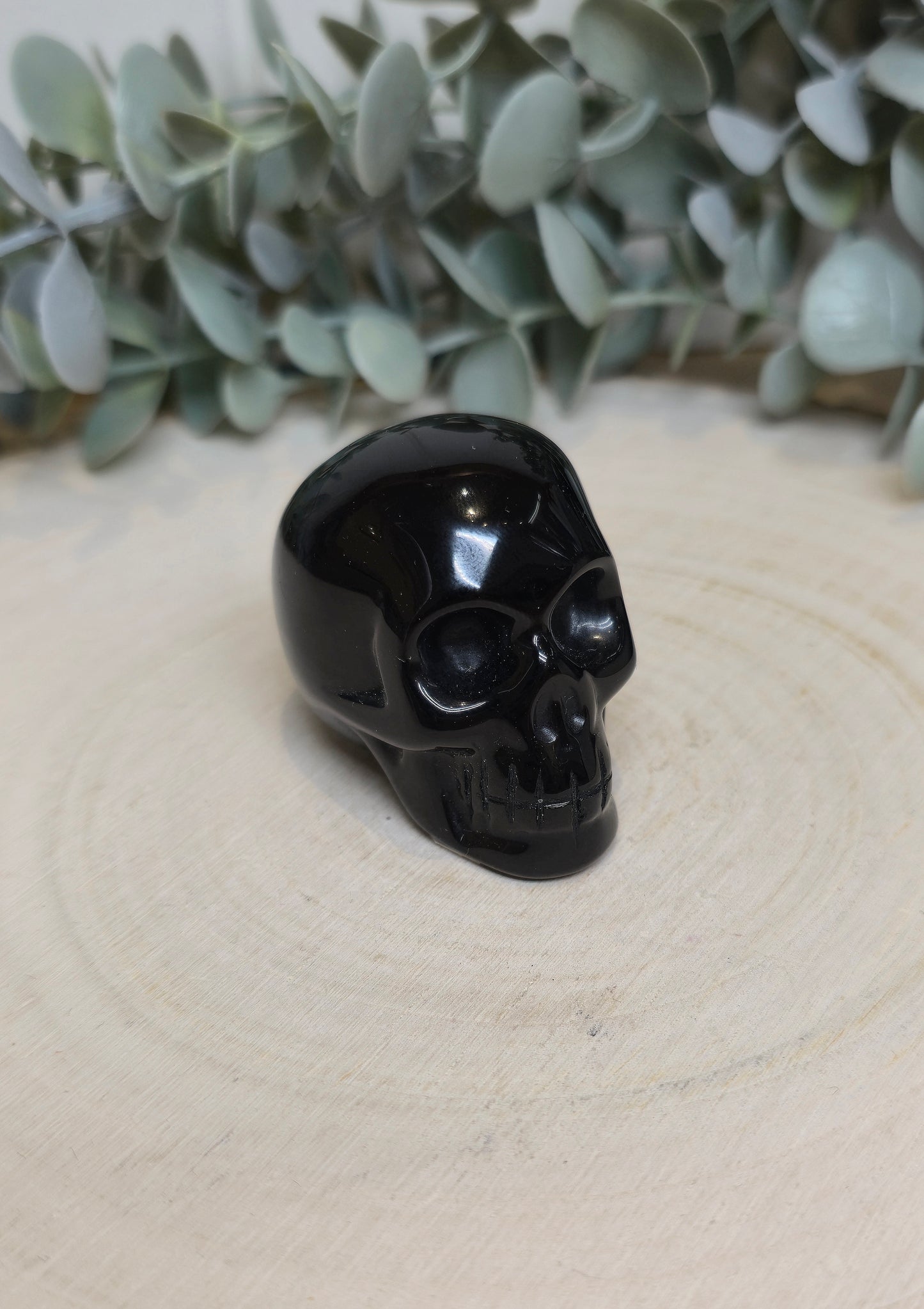 Crâne Obsidienne
