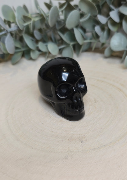 Crâne Obsidienne