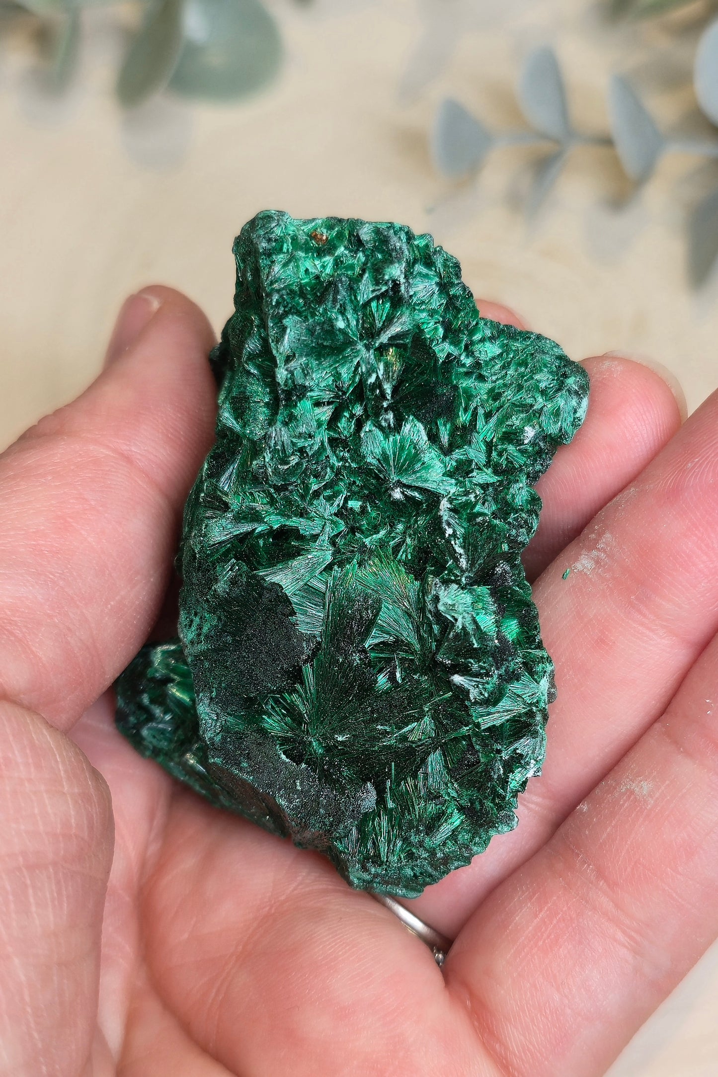 Malachite velour brute de l'Afrique
