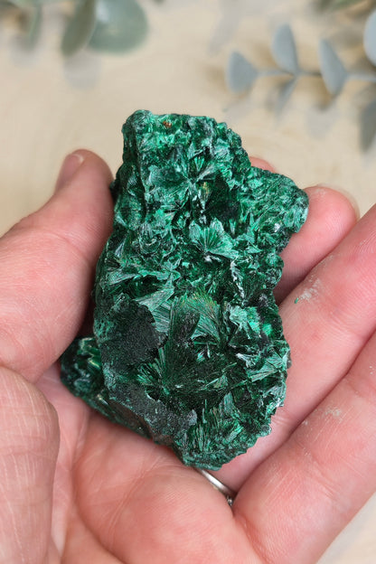 Malachite velour brute de l'Afrique