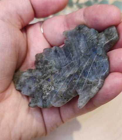 Feuille Labradorite